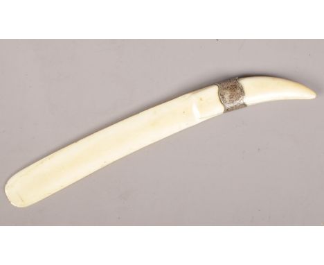 A Victorian ivory page turner with silver collar. Assayed Birmingham 1898.  