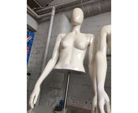 A female mannequin torso on chrome stand 