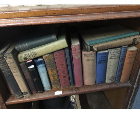 Shelf of books 