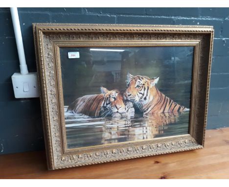 Steven Townsend, tigers, limited edition giclee print no. 23/50, 54cm x 39cm, signed verso, framed 70cm x 55cm. 
