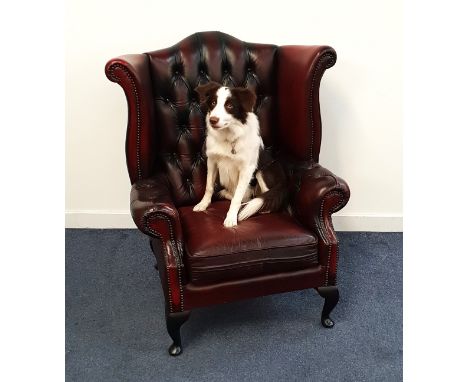 CHESTERFIELD WING BACK ARMCHAIR in ox blood leather with a button back and scroll arms with decorative stud metal detail, sta