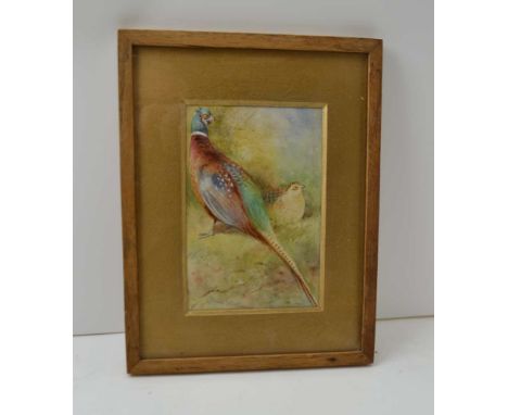 JAMES STINTON (1870-1961) 'Cock &amp; Hen Pheasant', Watercolour painting, signed 14cm x 9.5cm, plain oak frame, gilded mount