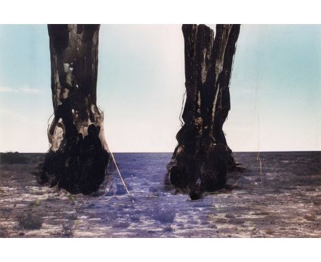 ink on C print, 33 x 49.5 cm, framed and glazed 51 x 68 cmProvenance  With Peter Blum Gallery, New York.  Private collection,