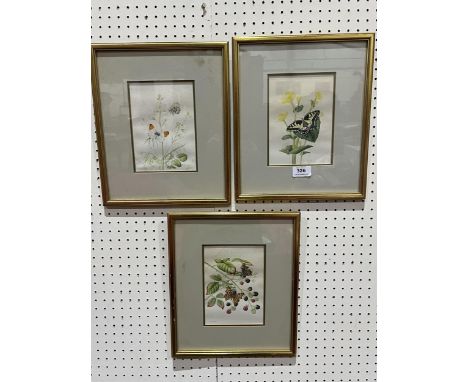 DAVID BUCKLE. BRITISH 20TH CENTURY (ROYAL WORCESTER ARTIST)  Three botanical studies with butterflies. Signed. Watercolour 7"