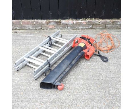An electric garden leaf blower, together with an aluminium ladder (2)