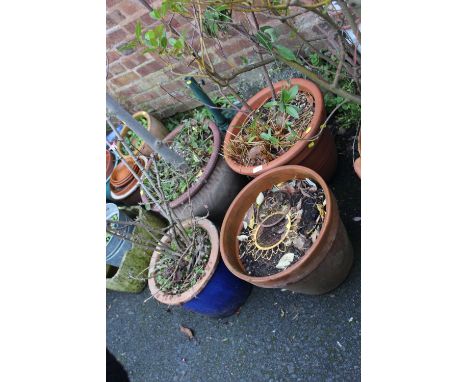 FOUR MEDIUM CERAMIC / TERRACOTTA PLANTERS AND CONTENTS - A/F (4)