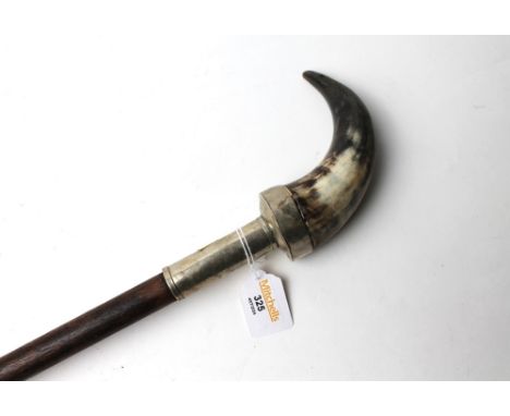 Horn topped walking stick 