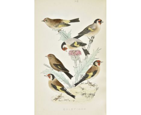 Mosley (Seth Lister). A History of British Birds, their Nests, and Eggs, with Hand-Coloured Figures of all the Species and Va