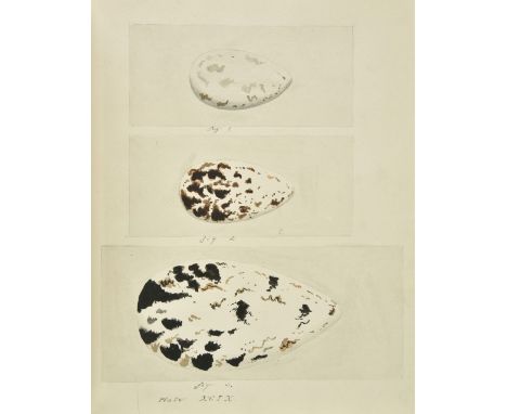 [Oology ]. 'The Nests and Eggs of British Birds. By S. U. Duer', 1878, manuscript on paper, 143 leaves (including title-leaf 