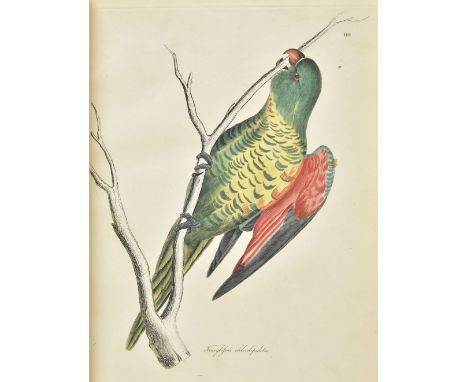 Jardine (William, &amp; Prideaux John Selby). Illustrations of Ornithology, 4 volumes, 1st edition, Edinburgh: W. H. Lizars, 