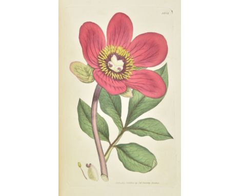 Sowerby (James). English Botany; or, Coloured Figures of British Plants, with their Essential Characters, Synonyms, and Place