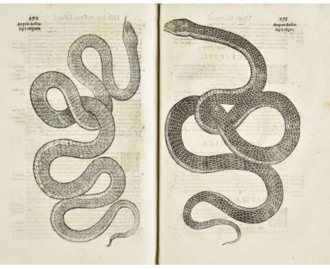 Aldrovandi (Ulisse). Serpentum et Draconum Historiae libri duo, 1st edition, Bologna: Clementem Ferronium, 1640, half title, 