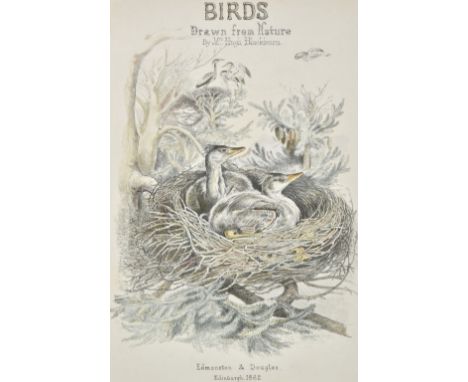 Blackburn [ Jemima ] . Birds drawn from Nature, 1st edition, Edinburgh: Edmonston &amp; Douglas, 1862, 6 pp. hand-coloured li