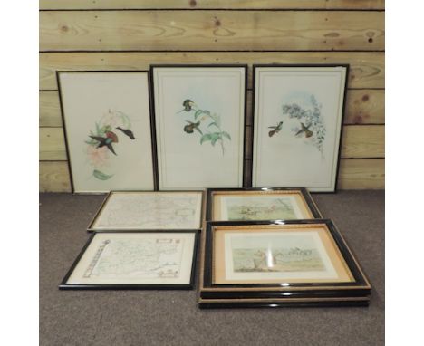 A set of three hunting prints, together with three botanical prints, a map of Essex and another 