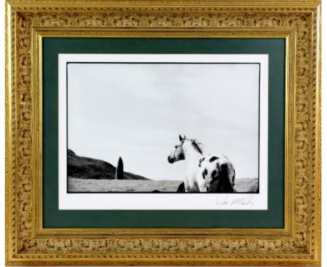 Linda McCartney (1941-1998) - Platinum print - The Stallion and the Standing Stone - Image of a horse in a field with a stand