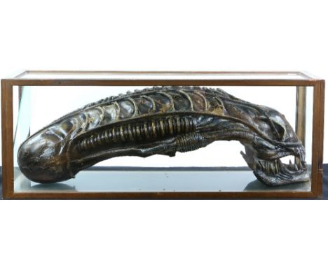 Alien Xenomorph creature head in case, 90 x 24 cm.        Very minor damage to item. One glass panel loose to side of case. 