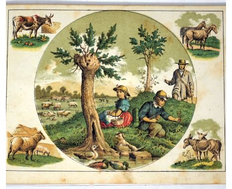 Des Kindes Gang durch die Natur,  An Vaters Hand durch Wald und Flur. Ein Bilderbuch für das erste Jugendalter in zwölf Darst