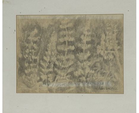 Property of the Late Countess Haig, Richard Box?, A study of Delphinium&rsquo;s, pencil sketch, signed and dated 1992 bottom 