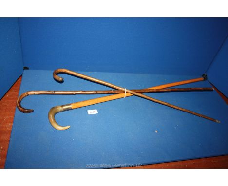 Two walking canes and a horn handled walking stick.