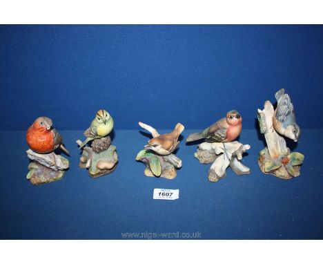 Five Hereford Fine China Ltd. bird figures by Michael R. Tandy from the Woodland Collection, (three being damaged)
