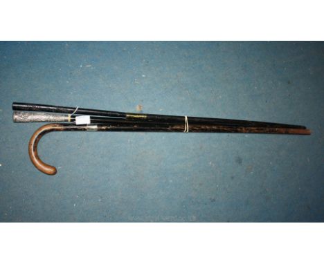 Two walking Canes and stick with white metal knop and collars.
