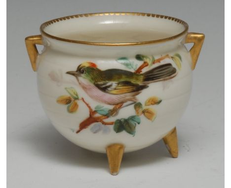 A Royal Worcester tripod cauldron, painted by John Hopewell with colourful finches, gilt dentil rim, angular lug handles, 6.4