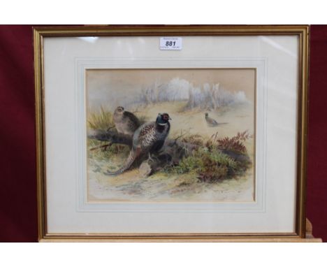 Archibald Thorburn (1860-1935) hand coloured lithograph - Pheasants in woodland, in glazed gilt frame, 23cm x 29cm