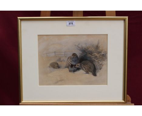 Archibald Thorburn (1860-1935) hand coloured lithograph - English Partridge in snow, in glazed gilt frame, 23cm x 33cm