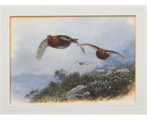 Archibald Thorburn (1860-1935) hand coloured lithograph - Grouse over the heather, in glazed gilt frame, 21cm x 30cm