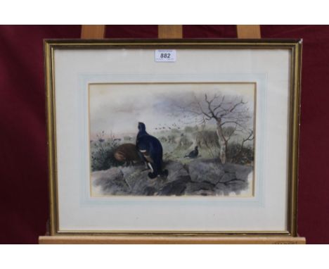 Archibald Thorburn (1860-1935) hand coloured lithograph - Black Grouse among the stooks, in glazed gilt frame, 20cm x 30cm