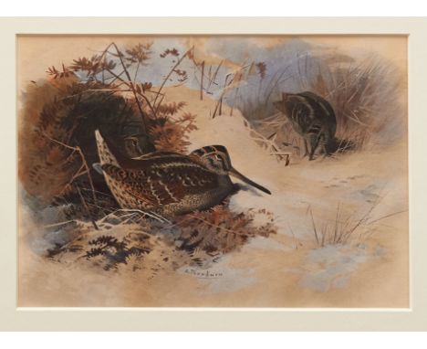 Archibald Thorburn (1860-1935) hand coloured lithograph - Woodcock in snow, in glazed gilt frame, 23cm x 33cm