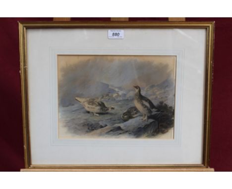 Archibald Thorburn (1860-1935) hand coloured lithograph - Ptarmigan on the hill, in glazed gilt frame, 21cm x 29cm