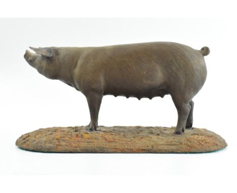 North Light bronzed resin model of a British Landrace pig, 23cm long (some restoration).  Restored on points of contact with 