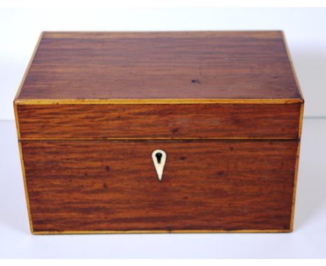 Georgian rectangular casuarina tea caddy twin lidded inlaid interior with ivory knobs