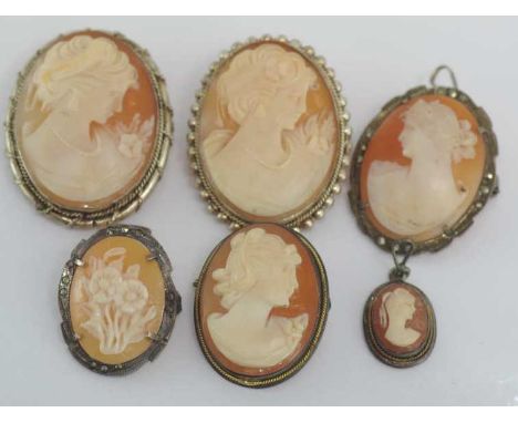 Six various sized vintage cameo brooches