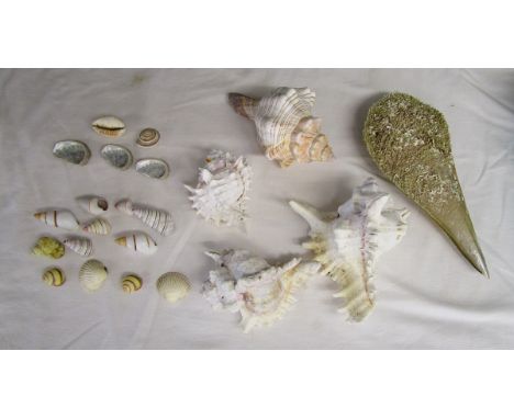 Box of shells
