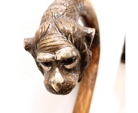 A late 19th/early 20th century walking stick, with a carved handle, in the form of a monkey, with silver coloured metal mount