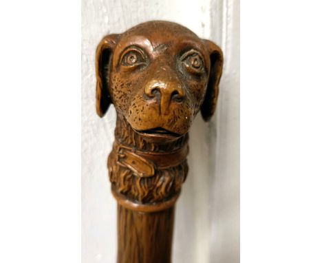 A late 19th/early 20th century novelty walking stick, with carved handle in the form of a dog, 92 cm  Provenance: Part of a s