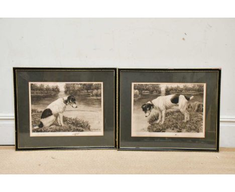 YATES CARRINGTON; two pencil signed etching, both of terriers, both signed lower left, 34cm x 46cm, both framed and glazed.