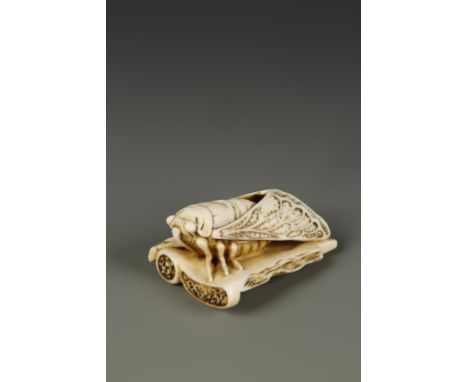 A JAPANESE IVORY CICADA NETSUKE, attributed to Sukenaga, the finely-detailed insect perched on a roof tile with its' wings sw