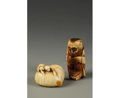 TWO JAPANESE NETSUKE, one in ivory showing a monkey climbing on a chestnut, 18th century, 1.5" long; the other in stag antler