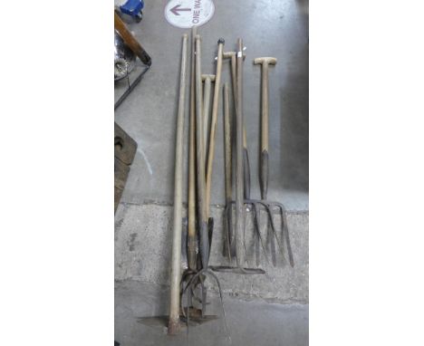 Nine vintage gardening tools, including pitchforks, spades, etc. 