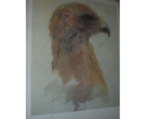 AFTER JONATHON POOLE "Study of an eagle's head", signed print, inscribed to margin "Happy Birthday Lots of Love Joff and Dore