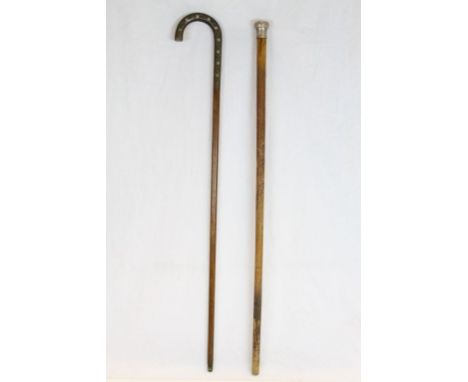 Two vintage walking sticks 