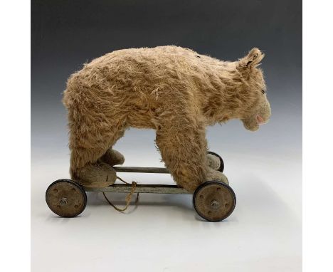 An early 20th century pull along bear, possibly Steiff but no button. Cinnamon mohair with glass eyes and open mouth, the str