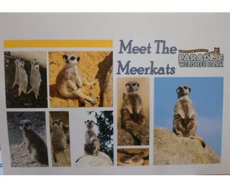 Feed the Meerkats for 2 (Paradise Wildlife Park nr. Hatfield), valid until December 2017.  Participants must be a minimum of 