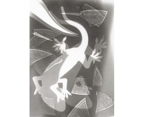 Landauer, Lou -- Photograms of geckos. 1942. 3 vintage gelatin silver prints. Circa 18 x 13 cm. 2 with photographer's Jerusal
