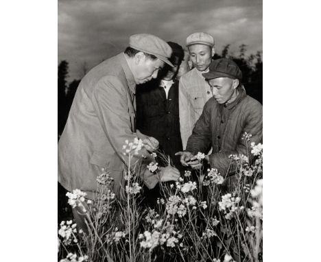 China -- Photographer unknown. Staged Chinese propaganda photographs with a double of Mao Zedong. 1950s. 4 vintage ferrotyped