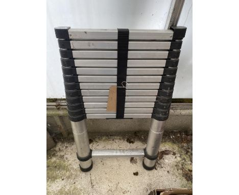 A TWELVE RUNG TELESCOPIC LADDER 