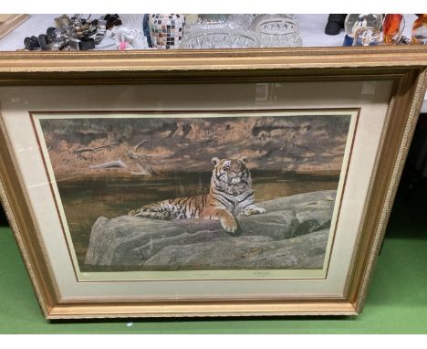 A LARGE GILT FRAMED PRINT OF A TIGER 'QUIZZICLE QUADRUPED' SIGNED ANTHONY GIBBS 107CM X 85CM 